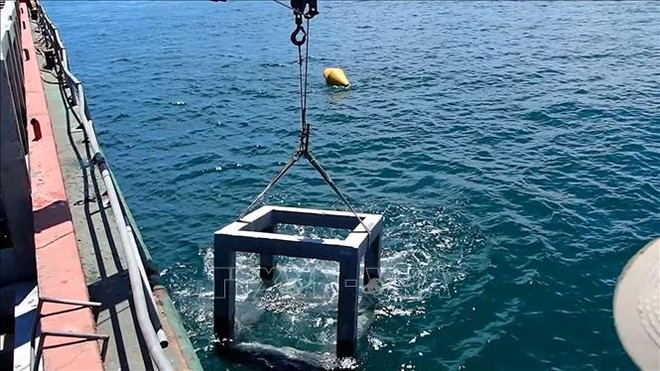 Colocación de arrecifes artificiales ayuda a proteger recursos pesqueros en provincia de Ca Mau ảnh 1 Colocación de arrecifes artificiales ayuda a proteger recursos pesqueros en provincia de Ca Mau ảnh 1