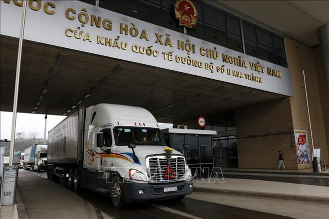 En alza exportaciones de frutas y verduras vietnamitas a China ảnh 2 En alza exportaciones de frutas y verduras vietnamitas a China ảnh 2