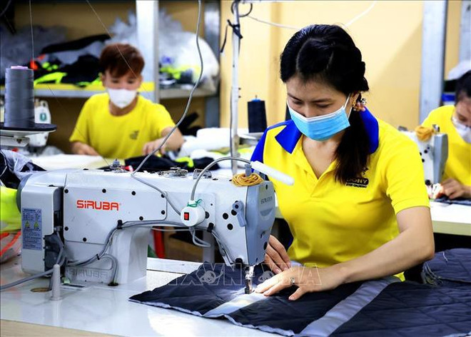 Impulsan transformación digital en sector textil de Vietnam ảnh 1 Impulsan transformación digital en sector textil de Vietnam ảnh 1