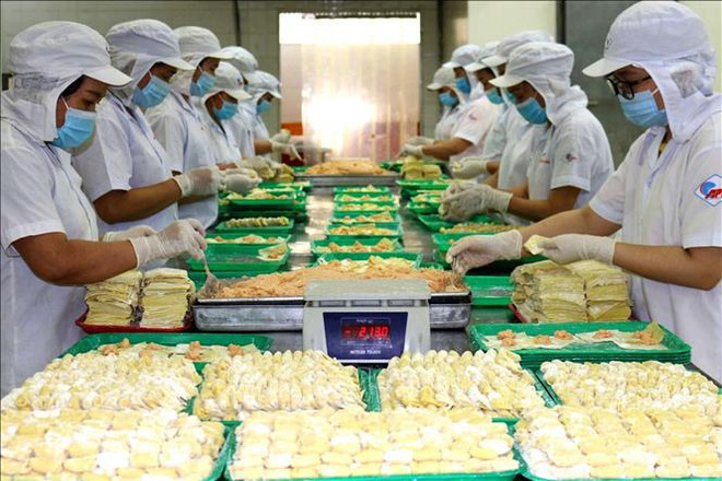 Impulsan desarrollo integral del mercado laboral en Sudeste de Vietnam ảnh 2 Impulsan desarrollo integral del mercado laboral en Sudeste de Vietnam ảnh 2