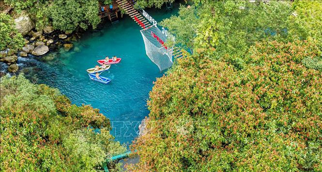 Vietnam preserva y promueve valores del Parque nacional Phong Nha-Ke Bang ảnh 2 Vietnam preserva y promueve valores del Parque nacional Phong Nha-Ke Bang ảnh 2