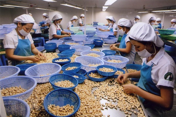 Fomentan sostenibilidad en industria de procesamiento de alimentos de Vietnam ảnh 1 Fomentan sostenibilidad en industria de procesamiento de alimentos de Vietnam ảnh 1