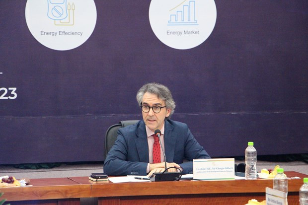 Estimulan cooperación y transición verde de Vietnam ảnh 2