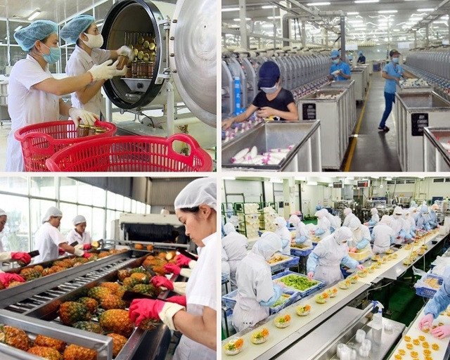 Discuten en Vietnam nuevas tendencias en industria de procesamiento de alimentos ảnh 2
