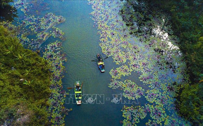 Vietnam busca conservar humedales para contribuir al almacenamiento de carbono ảnh 2 Vietnam busca conservar humedales para contribuir al almacenamiento de carbono ảnh 2