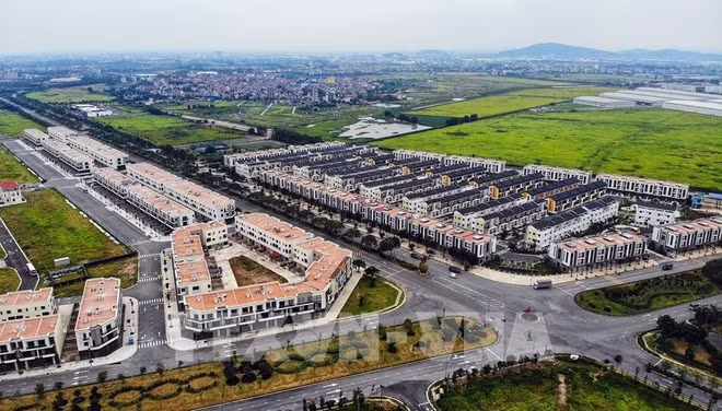 Oportunidades de desarrollo de bienes raíces industriales en Vietnam ảnh 1
