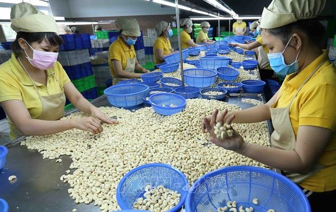 Impresionantes resultados de exportación agrícola de Vietnam en últimos meses de 2023 ảnh 2 Impresionantes resultados de exportación agrícola de Vietnam en últimos meses de 2023 ảnh 2