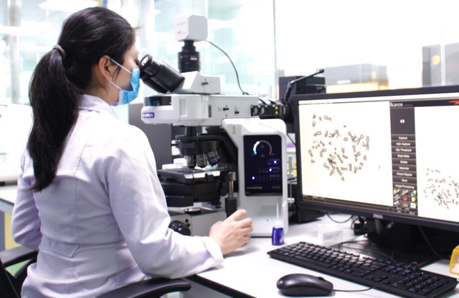 Vietnam por ampliar red de servicios de tamizaje prenatal ảnh 1 Vietnam por ampliar red de servicios de tamizaje prenatal ảnh 1