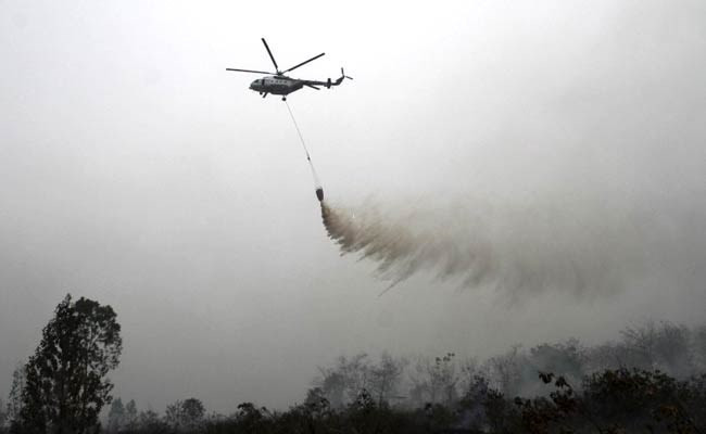 Indonesia se empeña en controlar incendios forestales ảnh 1 Indonesia se empeña en controlar incendios forestales ảnh 1