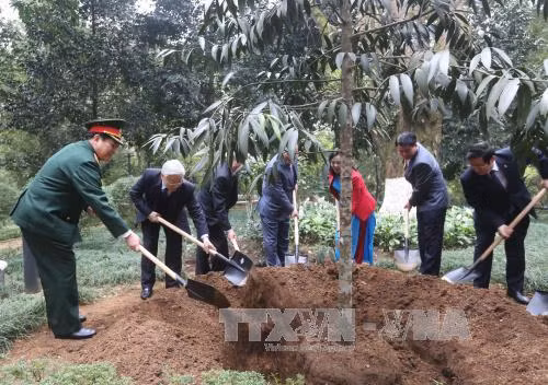 Líder partidista rinde homenaje al presidente Ho Chi Minh ảnh 1