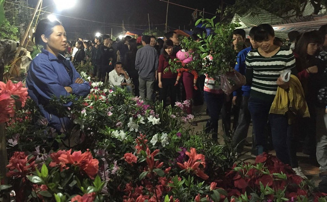 El mercado Vieng de Vietnam ảnh 2 El mercado Vieng de Vietnam ảnh 2