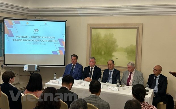 Celebran actividades por 50 años de nexos diplomáticos Vietnam-Reino Unido ảnh 2 Celebran actividades por 50 años de nexos diplomáticos Vietnam-Reino Unido ảnh 2