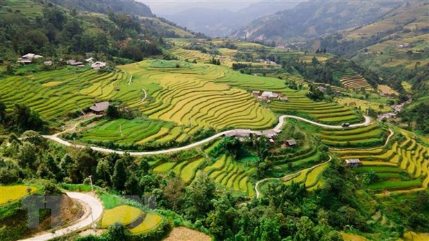 Programa de viajes promueve las terrazas del arroz de Hoang Su Phi ảnh 1 Programa de viajes promueve las terrazas del arroz de Hoang Su Phi ảnh 1
