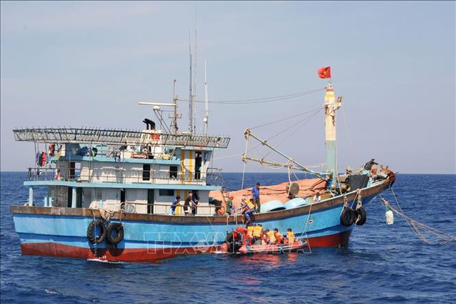 Destacan esfuerzos de provincia vietnamita de Phu Yen en lucha contra pesca ilegal ảnh 1