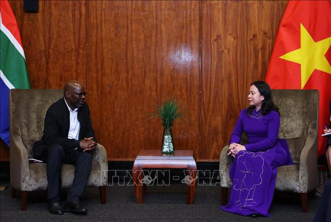 Vicepresidenta de Vietnam se reúne con homólogo sudafricano ảnh 2 Vicepresidenta de Vietnam se reúne con homólogo sudafricano ảnh 2