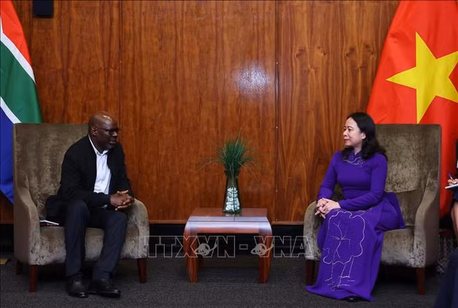 Vicepresidenta de Vietnam se reúne con homólogo sudafricano ảnh 2