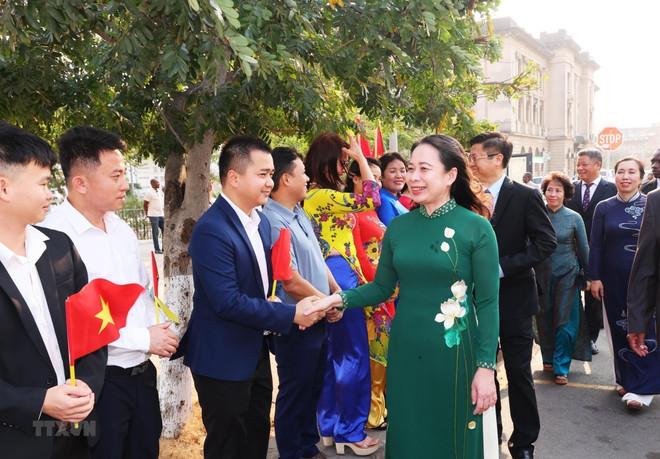 Vietnam alcanza nuevo hito en relaciones bilaterales con Mozambique y Sudáfrica ảnh 2