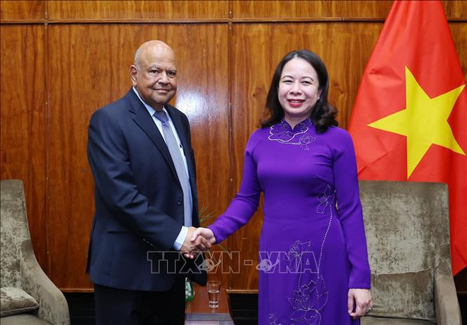Vicepresidenta de Vietnam se reúne con homólogo sudafricano ảnh 3 Vicepresidenta de Vietnam se reúne con homólogo sudafricano ảnh 3