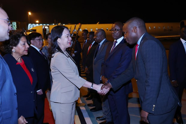 Vicepresidenta vietnamita inicia visita oficial a Mozambique ảnh 1 Vicepresidenta vietnamita inicia visita oficial a Mozambique ảnh 1