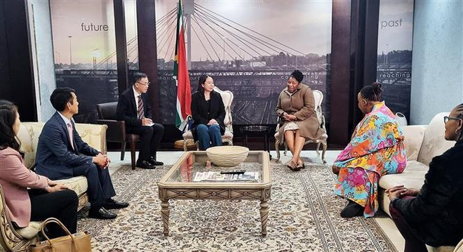 Vicepresidenta de Vietnam realiza visita oficial a Sudáfrica ảnh 1 Vicepresidenta de Vietnam realiza visita oficial a Sudáfrica ảnh 1