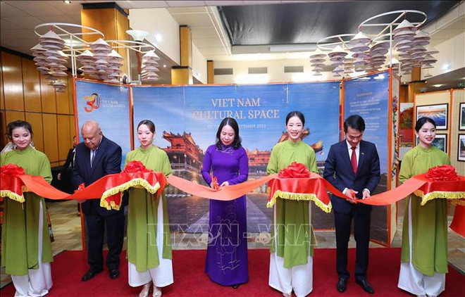 Vicepresidenta de Vietnam se reúne con homólogo sudafricano ảnh 4 Vicepresidenta de Vietnam se reúne con homólogo sudafricano ảnh 4