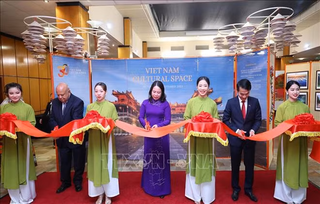 Vicepresidenta de Vietnam se reúne con homólogo sudafricano ảnh 4