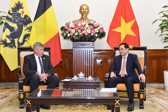 Vietnam y Bélgica fortalecen cooperación integral ảnh 1