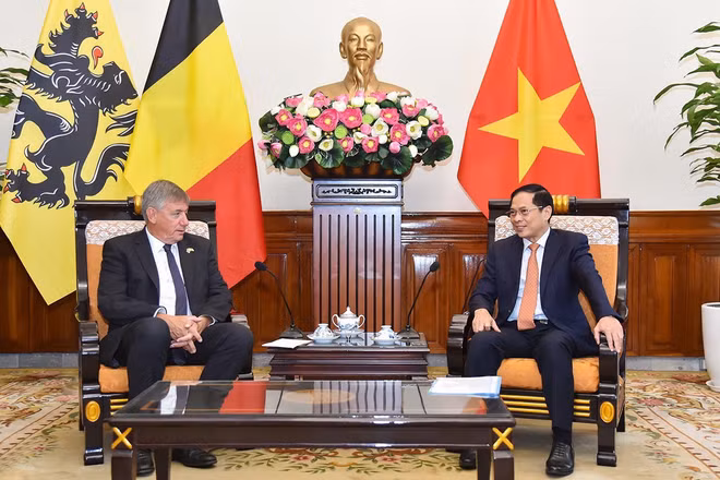 Vietnam y Bélgica fortalecen cooperación integral ảnh 1