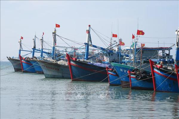 Binh Thuan aborda estrictamente violaciones relacionadas con la pesca ilegal ảnh 1