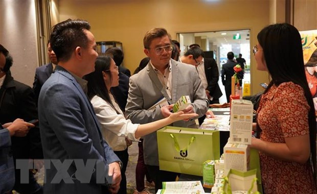 Provincia vietnamita busca asociación de comercio con empresas australianas ảnh 1 Provincia vietnamita busca asociación de comercio con empresas australianas ảnh 1