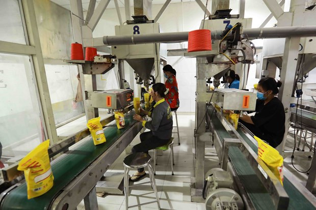 EE. UU. se afianza como primer mercado de exportación de Vietnam ảnh 2 EE. UU. se afianza como primer mercado de exportación de Vietnam ảnh 2