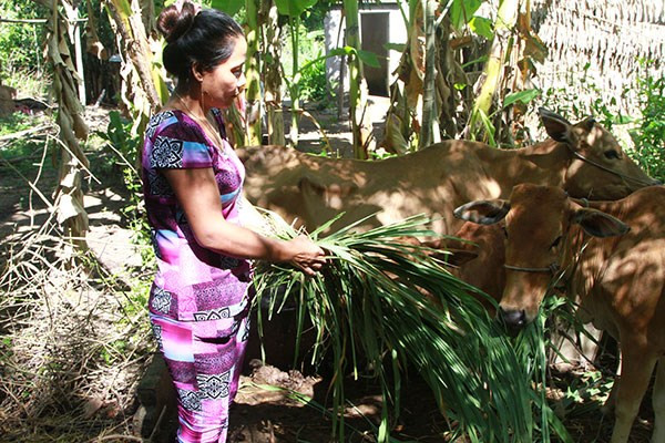 Trabaja provincia survietnamita de Tra Vinh para mejorar la vida de los jemeres ảnh 1 Trabaja provincia survietnamita de Tra Vinh para mejorar la vida de los jemeres ảnh 1