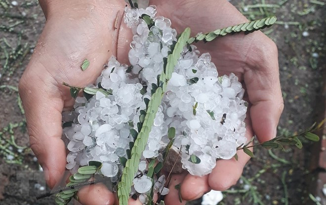Tormentas eléctricas dejan un muerto y tres heridos en el norte de Vietnam ảnh 1 Tormentas eléctricas dejan un muerto y tres heridos en el norte de Vietnam ảnh 1