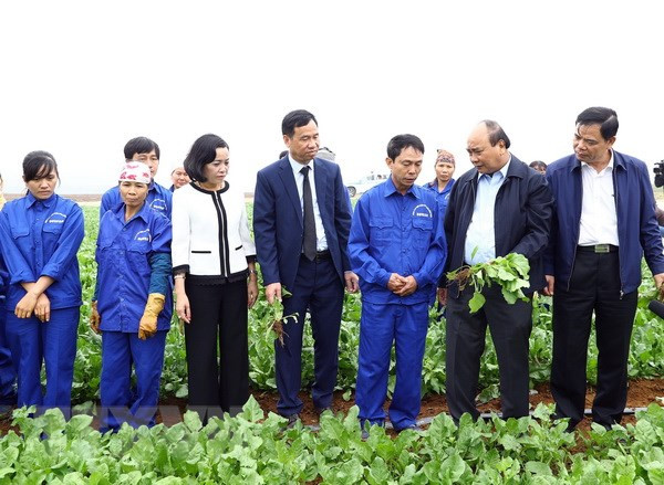 Insta Premier de Vietnam a acelerar aplicación tecnológica en agricultura ảnh 1 Insta Premier de Vietnam a acelerar aplicación tecnológica en agricultura ảnh 1