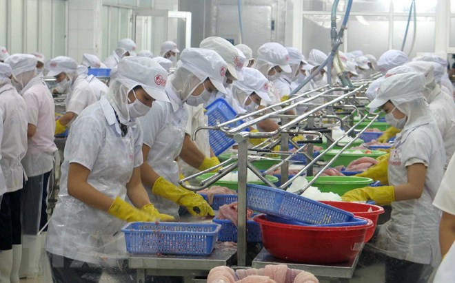 Exportaciones acuícolas de Vietnam registran un crecimiento de dos dígitos en enero ảnh 1 Exportaciones acuícolas de Vietnam registran un crecimiento de dos dígitos en enero ảnh 1