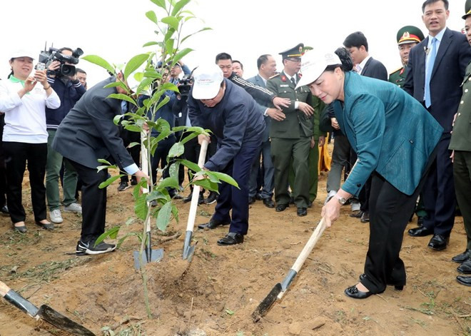 Lanzan campaña de plantación de árboles en provincia vietnamita de Hoa Binh ảnh 1 Lanzan campaña de plantación de árboles en provincia vietnamita de Hoa Binh ảnh 1