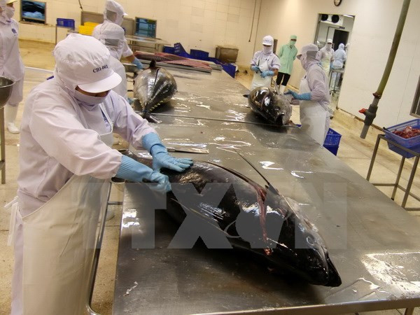 Exportación vietnamita de atún a Canadá registra fuerte aumento ảnh 1 Exportación vietnamita de atún a Canadá registra fuerte aumento ảnh 1
