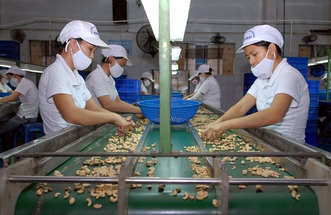 Dispuesto UE apoyar penetración de productos vietnamitas en Europa ảnh 1