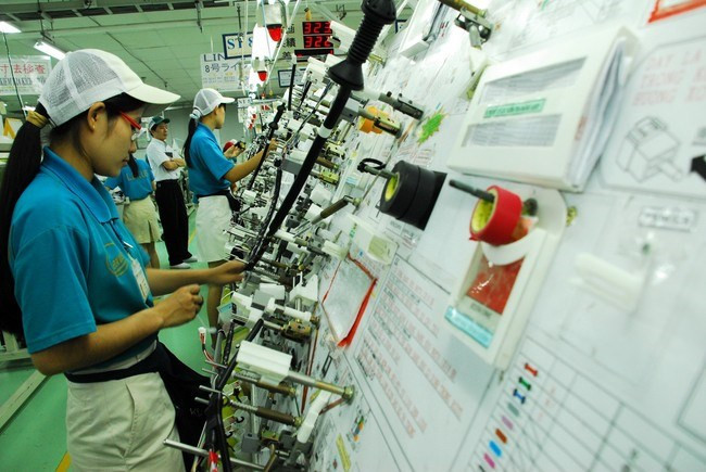 Empresas japonesas buscan oportunidad de inversión en Nam Dinh ảnh 1