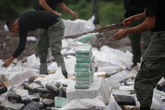 Incumplirá ASEAN objetivo sobre una región sin drogas en 2015 ảnh 1