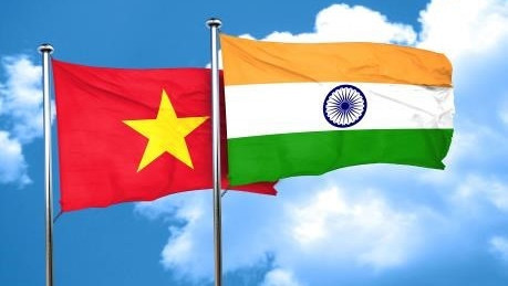 Vietnam y la India por impulsar cooperación en turismo en período posCOVID-19 ảnh 1