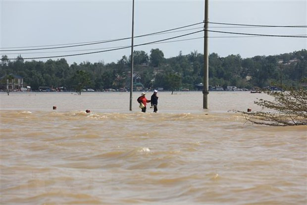Organizaciones internacionales muestran solidaridad con los afectados por inundaciones en Vietnam ảnh 1 Organizaciones internacionales muestran solidaridad con los afectados por inundaciones en Vietnam ảnh 1