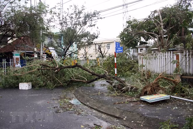 Tifón Movale provoca grandes pérdidas humanas y materiales en Vietnam ảnh 1