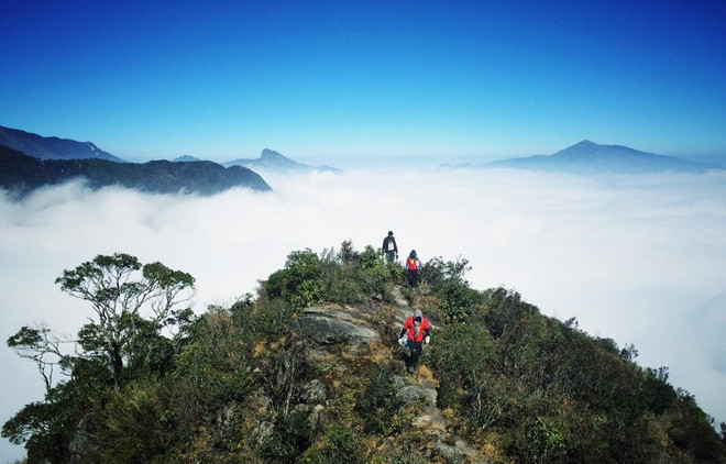 Nuevo video televisivo en cooperación con CNN busca atraer turistas a Vietnam ảnh 1 Nuevo video televisivo en cooperación con CNN busca atraer turistas a Vietnam ảnh 1