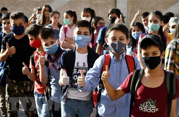 Vietnam llamó a comunidad internacional respaldar a Siria en lucha contra el COVID-19 ảnh 1 Vietnam llamó a comunidad internacional respaldar a Siria en lucha contra el COVID-19 ảnh 1