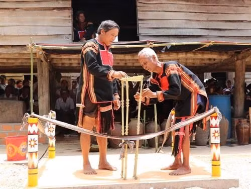 Restauran ceremonia de adoración de agua de etnia Jrai ảnh 1