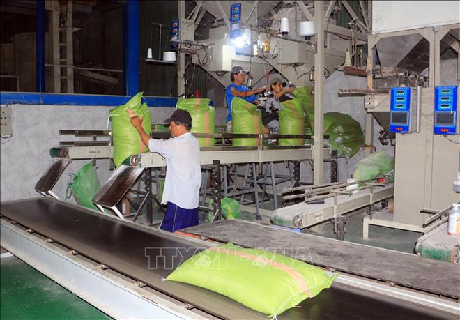 Balanza comercial de Vietnam registra superávit récord en los primeros 10 meses ảnh 1
