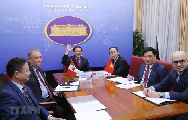 Vietnam y Perú efectúan consulta política en línea ảnh 1