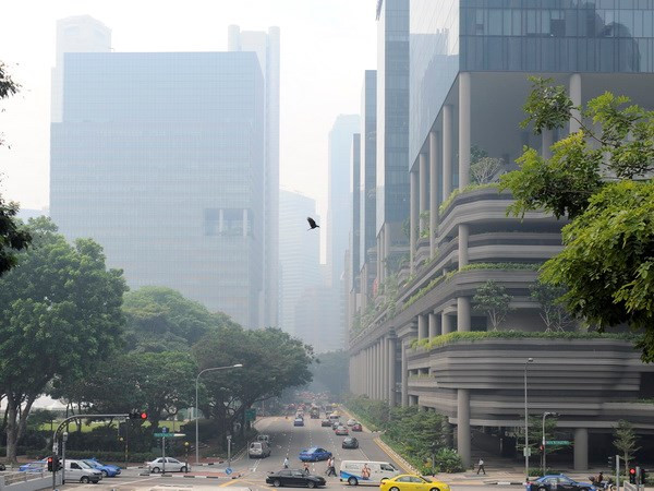 Economía singapurense podría crecer 2,6 por ciento en 2019 ảnh 1