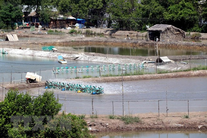 Agricultores vietnamitas se esfuerzan por enfrentar al cambio climático ảnh 1 Agricultores vietnamitas se esfuerzan por enfrentar al cambio climático ảnh 1